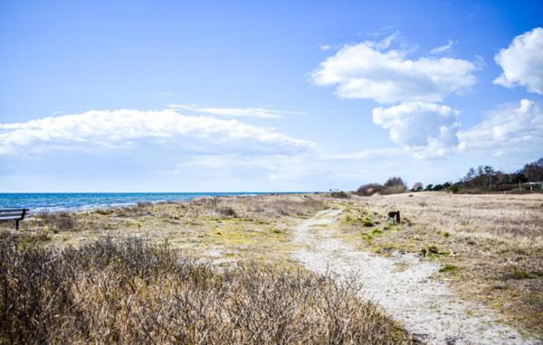 Cosy Cottage By The South Coast Trelleborg Esterno foto